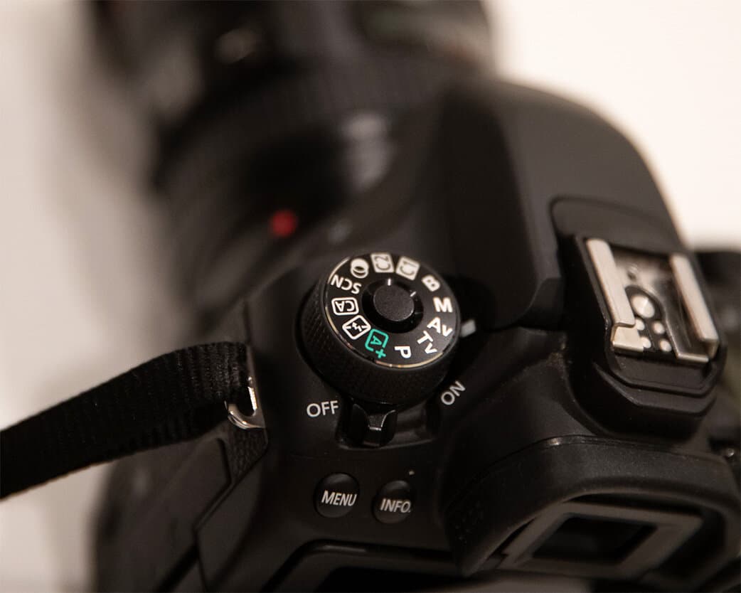 Professional Photography